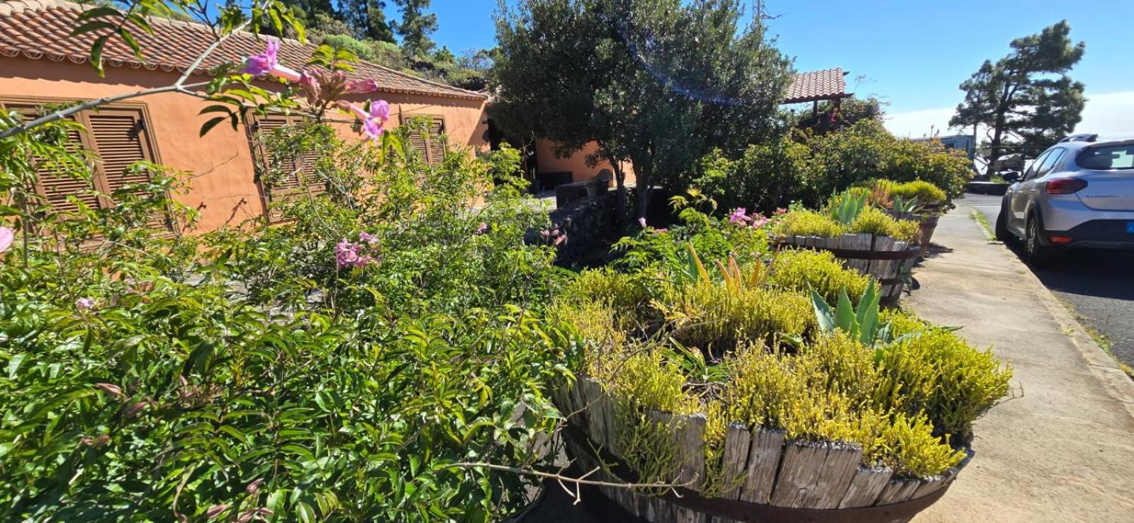 Vivienda Vacacional El Lagar, Bodega A Fuencaliente de la Palma Bagian luar foto