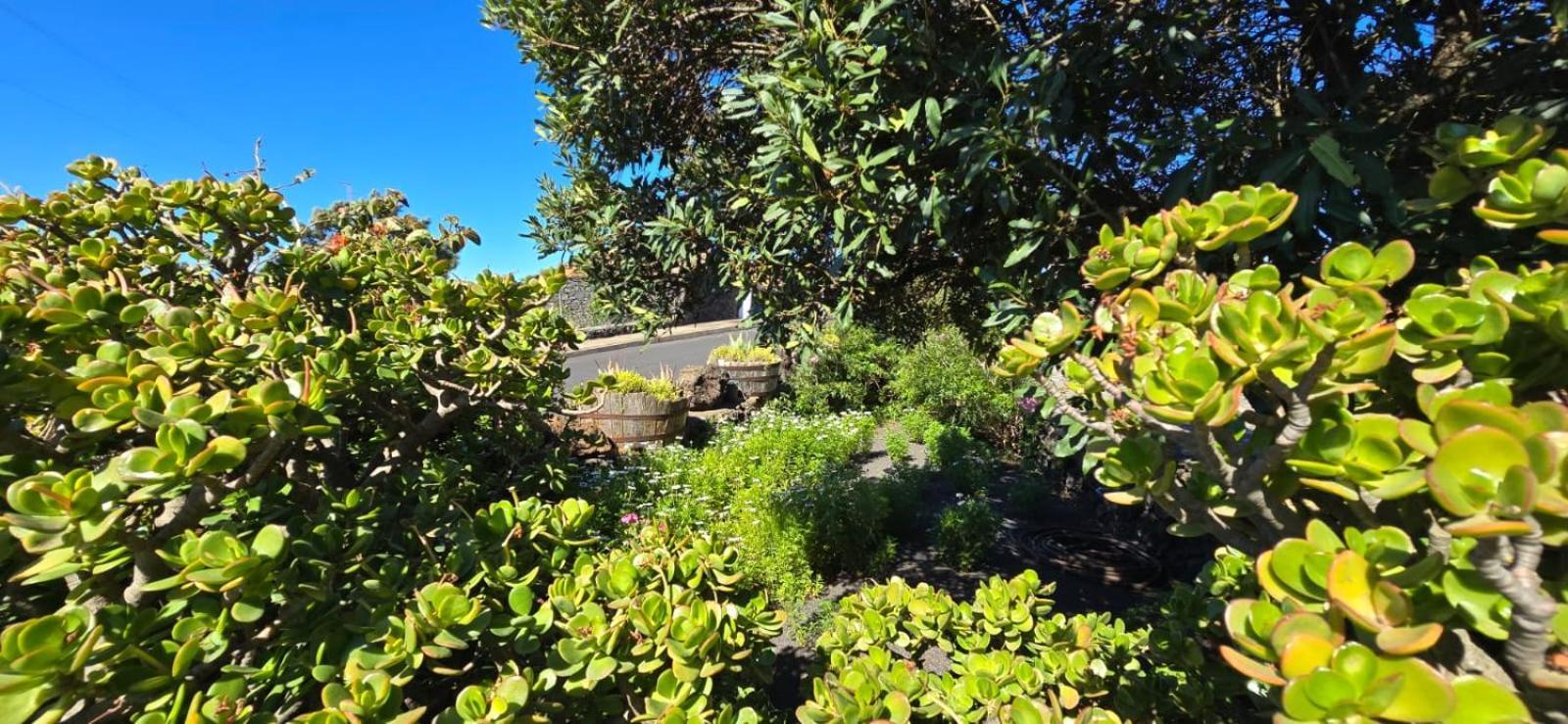 Vivienda Vacacional El Lagar, Bodega A Fuencaliente de la Palma Bagian luar foto