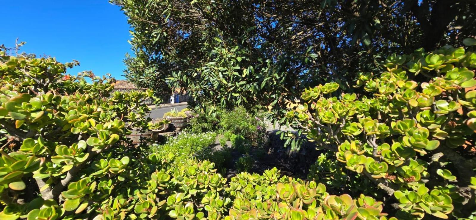 Vivienda Vacacional El Lagar, Bodega A Fuencaliente de la Palma Bagian luar foto