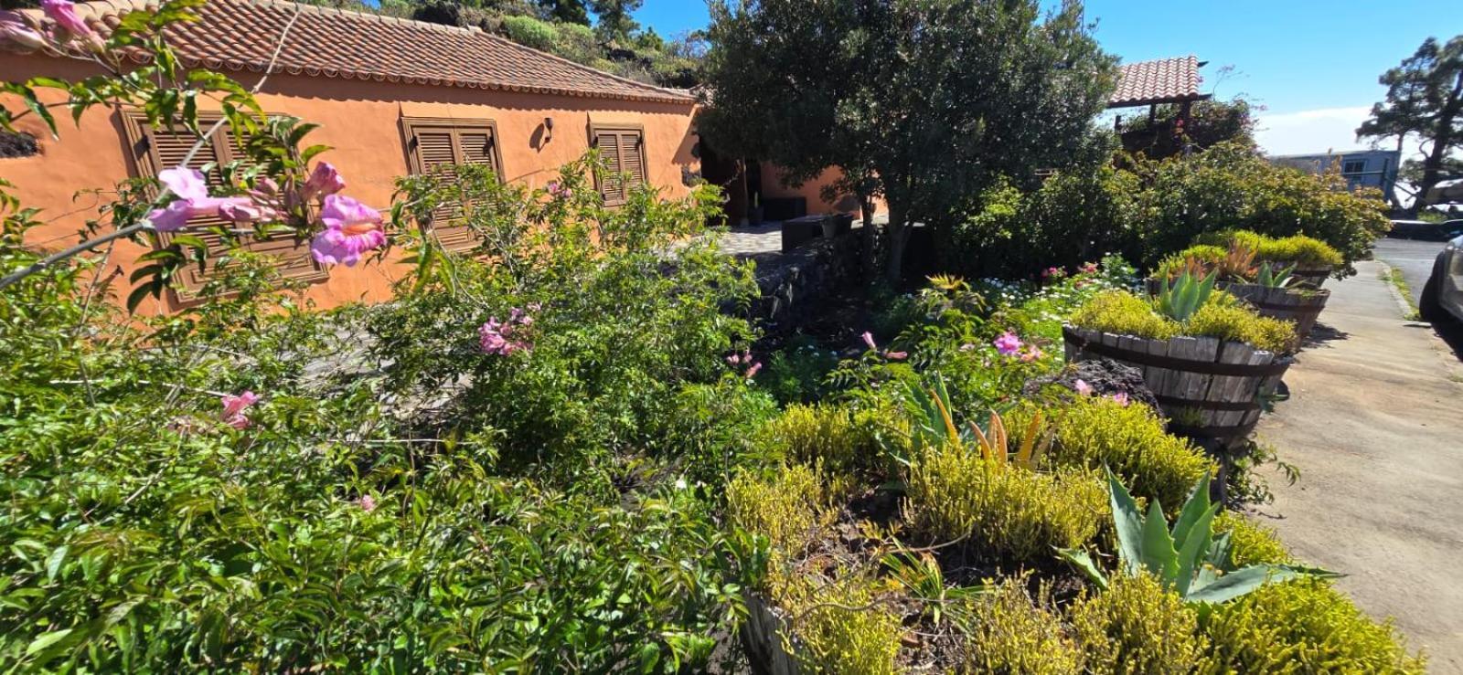 Vivienda Vacacional El Lagar, Bodega A Fuencaliente de la Palma Bagian luar foto