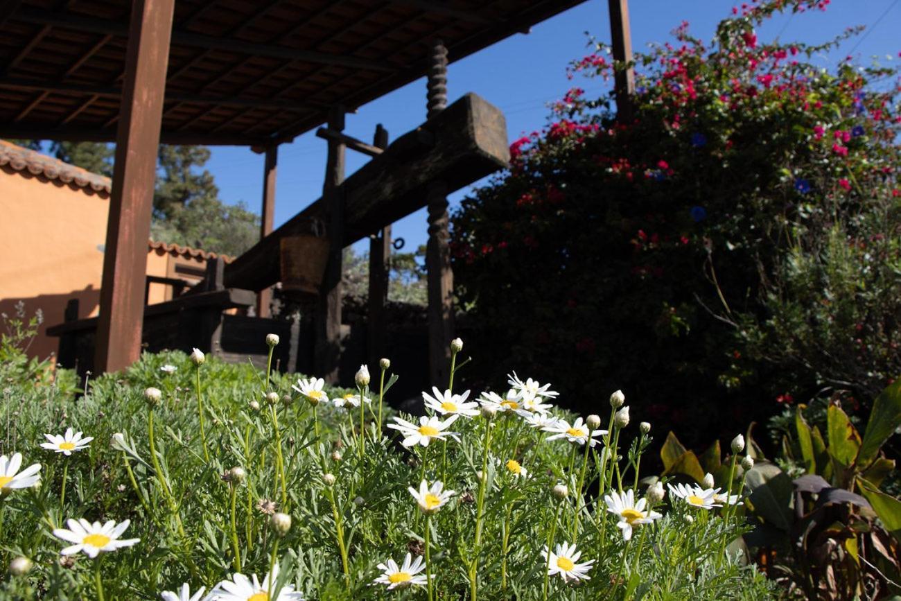Vivienda Vacacional El Lagar, Bodega A Fuencaliente de la Palma Bagian luar foto